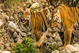 weekend getaways from delhi